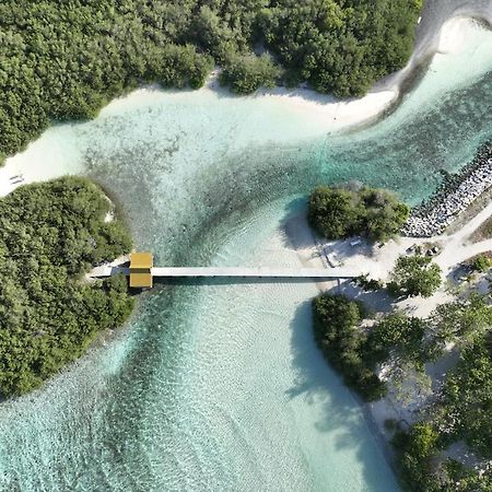 Surf Yoga Camp Hotell Thulusdhoo Eksteriør bilde